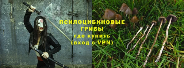 а пвп мука Алзамай