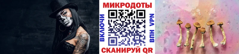 Псилоцибиновые грибы Psilocybe  Богородск 